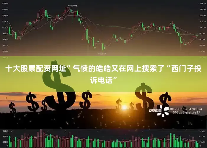 十大股票配资网址”气愤的皓皓又在网上搜索了“西门子投诉电话”