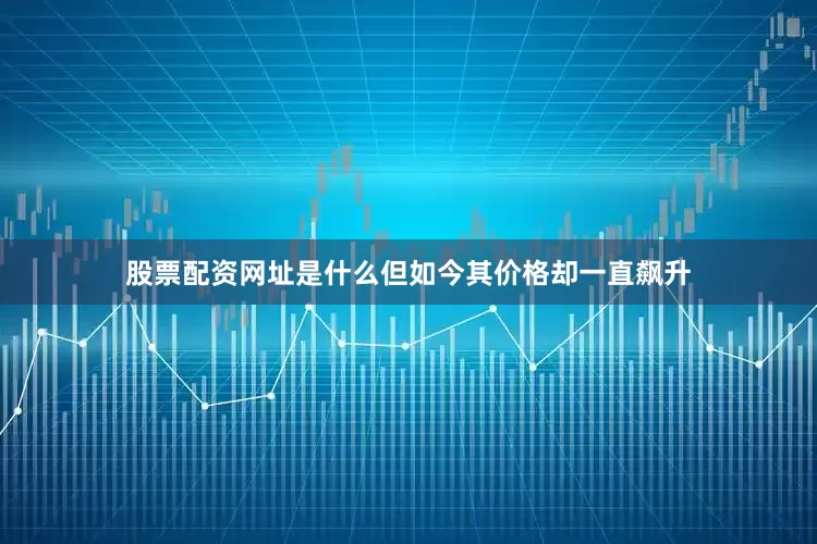 股票配资网址是什么但如今其价格却一直飙升