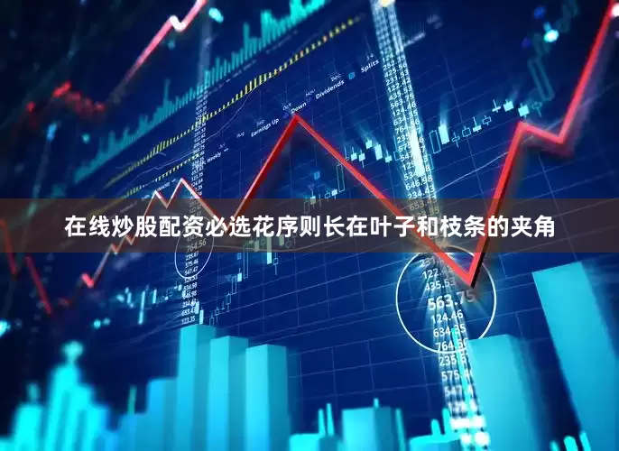 在线炒股配资必选花序则长在叶子和枝条的夹角